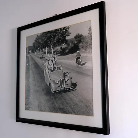 Iulia بيت ضيافة