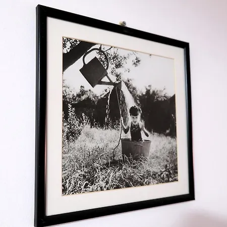 بيت ضيافة Iulia