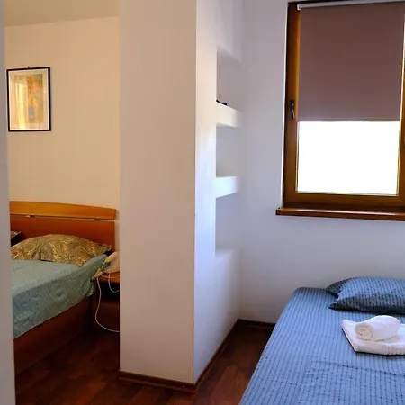 Guest house Iulia 3*