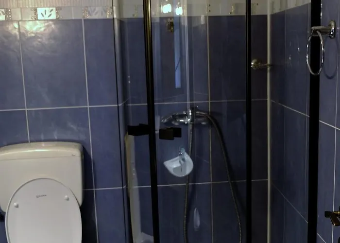 Iulia Πανσιόν 3*